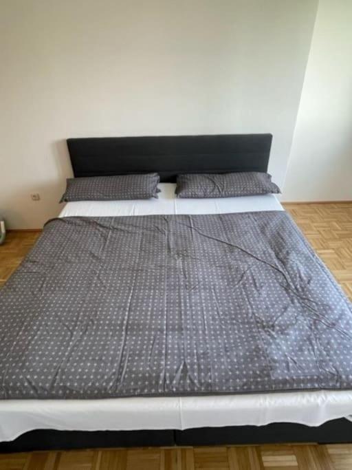 City Appartement 4600 Wels Eksteriør bilde